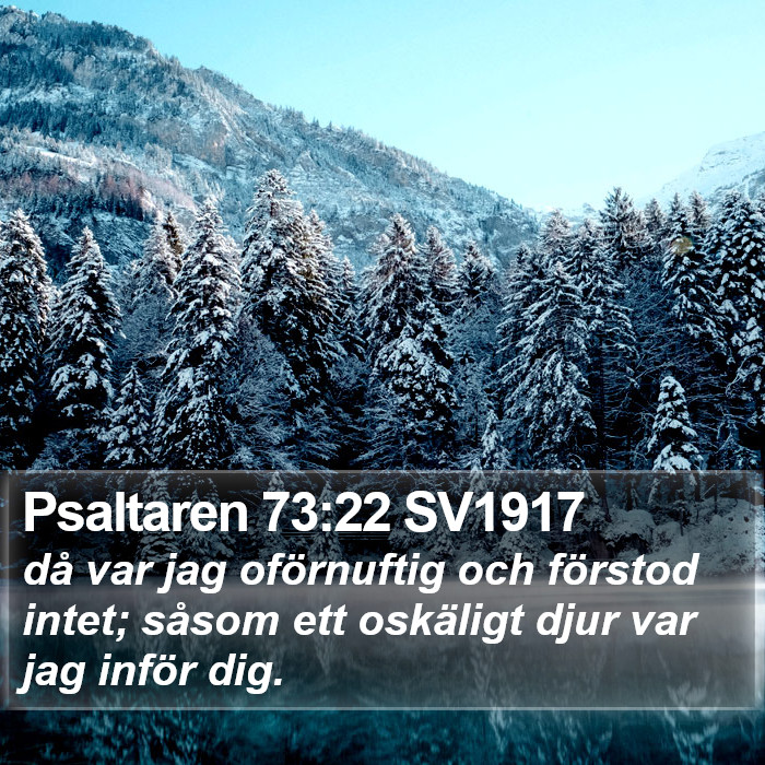 Psaltaren 73:22 SV1917 Bible Study