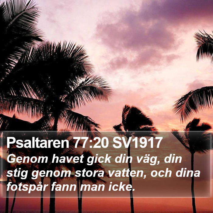 Psaltaren 77:20 SV1917 Bible Study