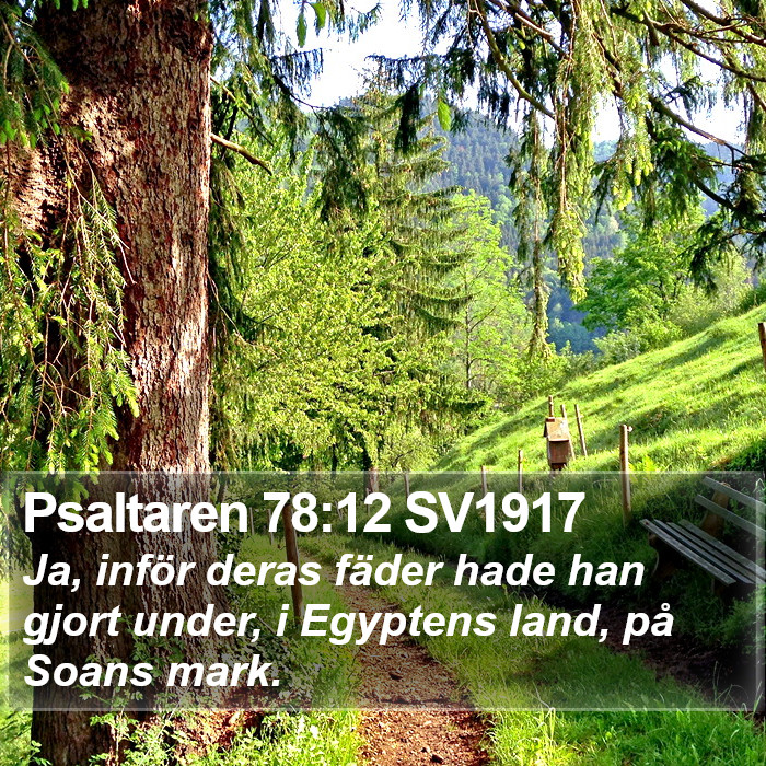 Psaltaren 78:12 SV1917 Bible Study