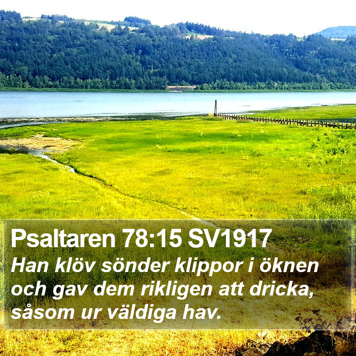 Psaltaren 78:15 SV1917 Bible Study