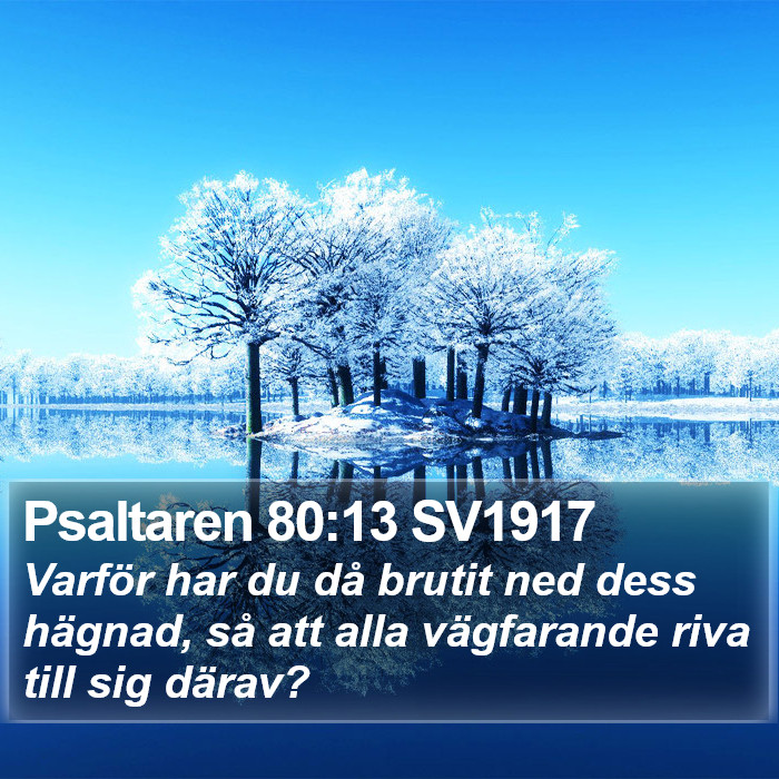 Psaltaren 80:13 SV1917 Bible Study