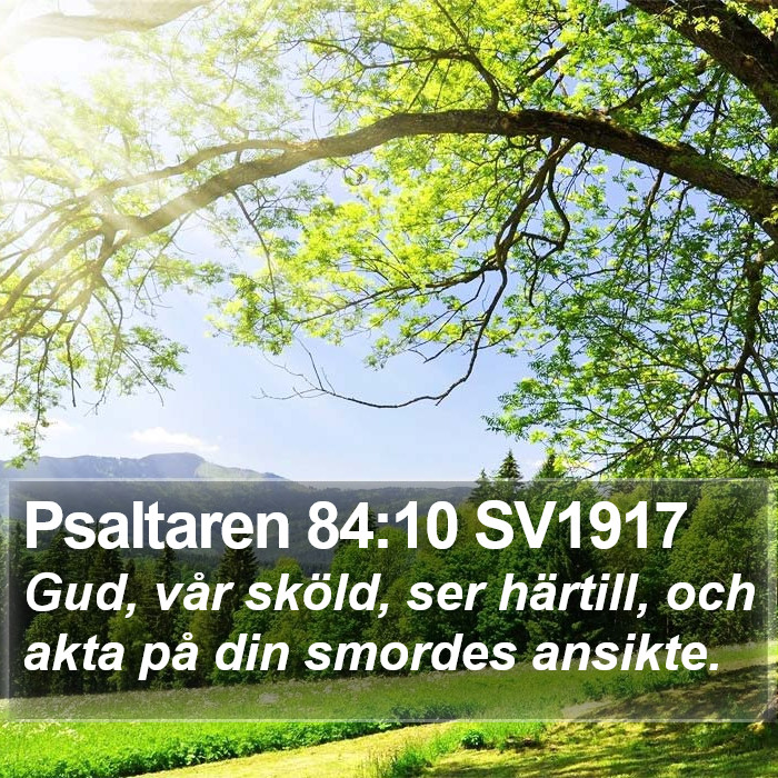 Psaltaren 84:10 SV1917 Bible Study