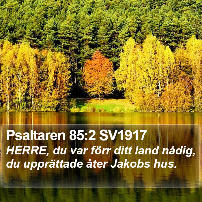 Psaltaren 85:2 SV1917 Bible Study