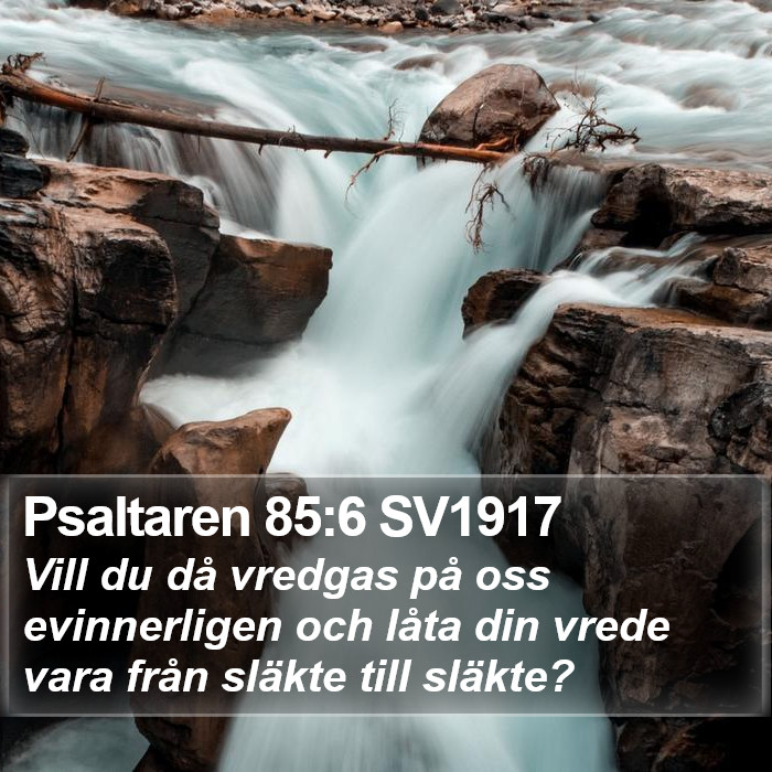 Psaltaren 85:6 SV1917 Bible Study