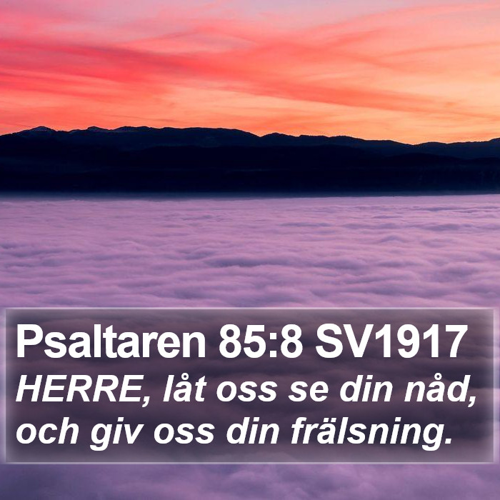 Psaltaren 85:8 SV1917 Bible Study