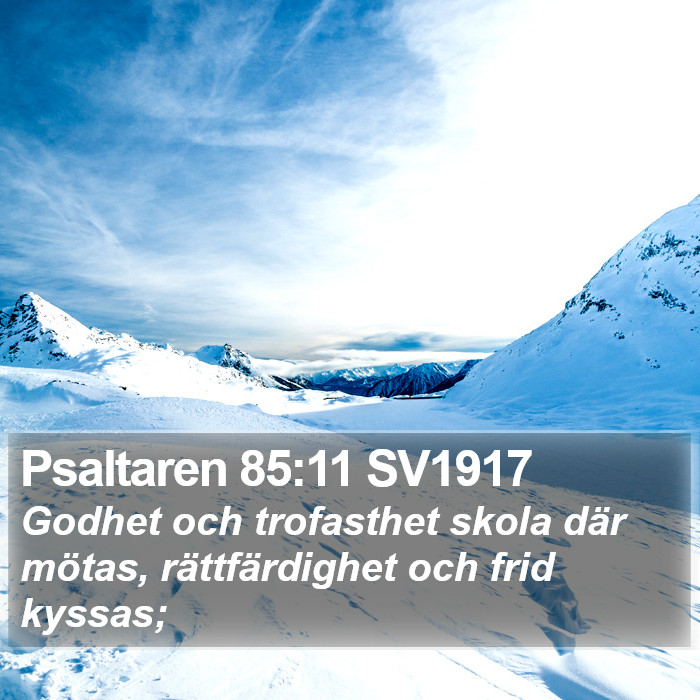 Psaltaren 85:11 SV1917 Bible Study