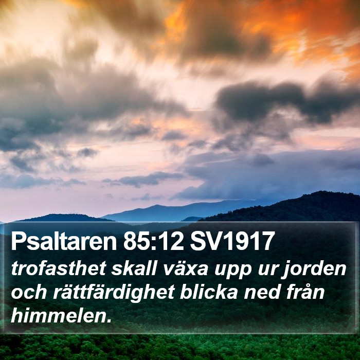 Psaltaren 85:12 SV1917 Bible Study