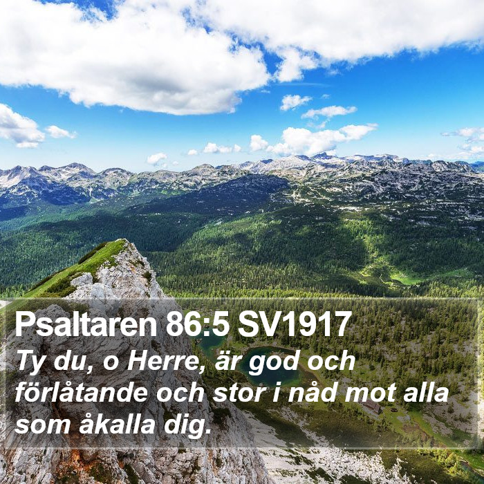 Psaltaren 86:5 SV1917 Bible Study