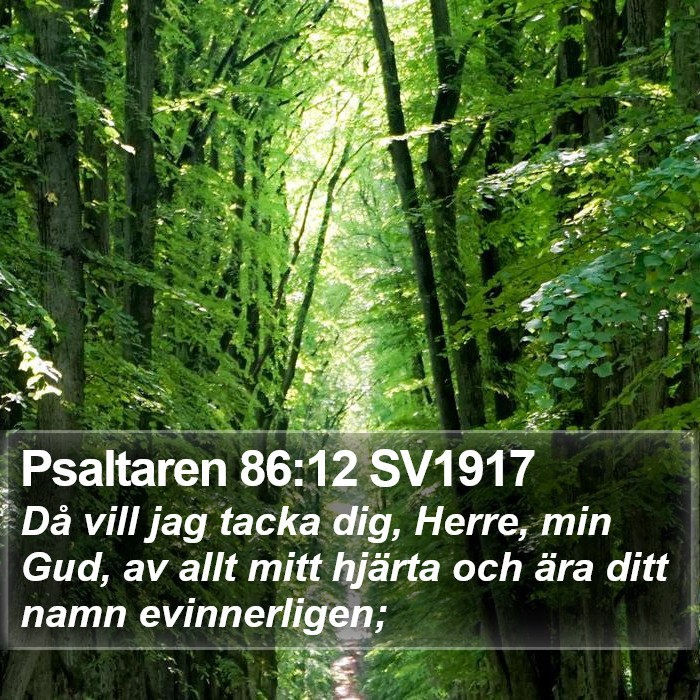 Psaltaren 86:12 SV1917 Bible Study