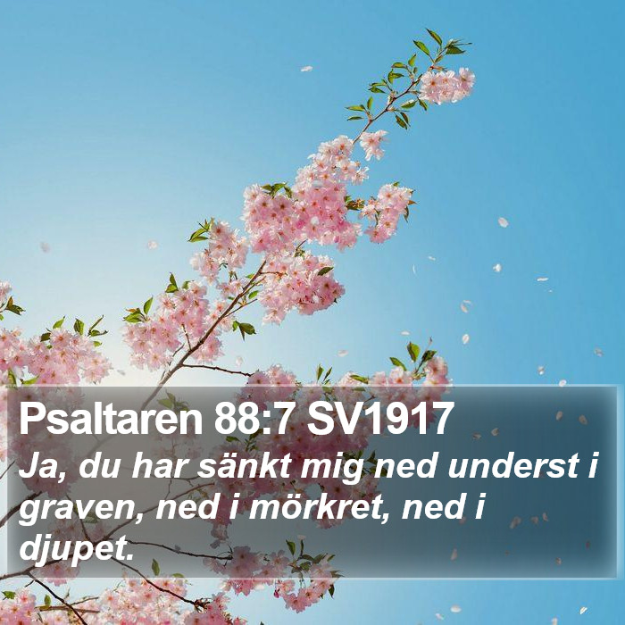 Psaltaren 88:7 SV1917 Bible Study