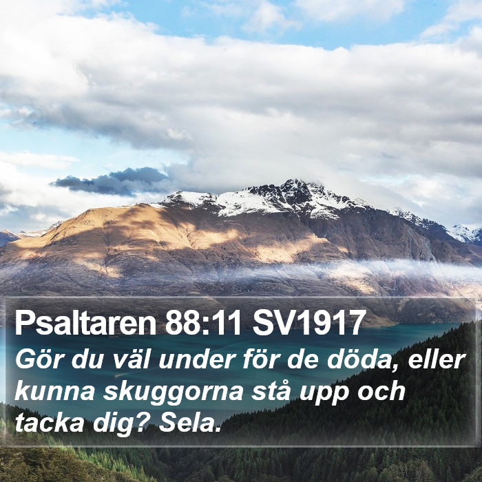 Psaltaren 88:11 SV1917 Bible Study