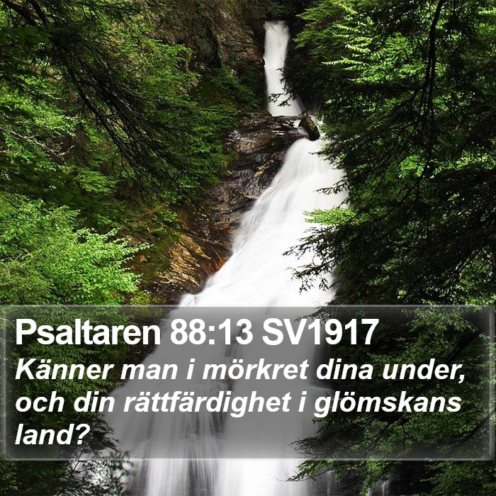 Psaltaren 88:13 SV1917 Bible Study