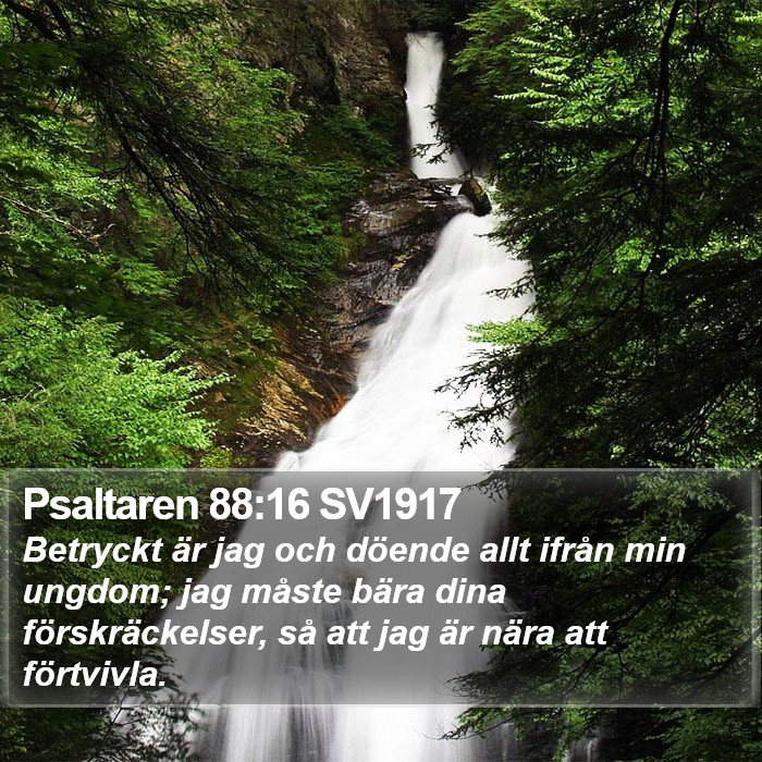 Psaltaren 88:16 SV1917 Bible Study