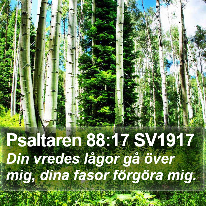 Psaltaren 88:17 SV1917 Bible Study