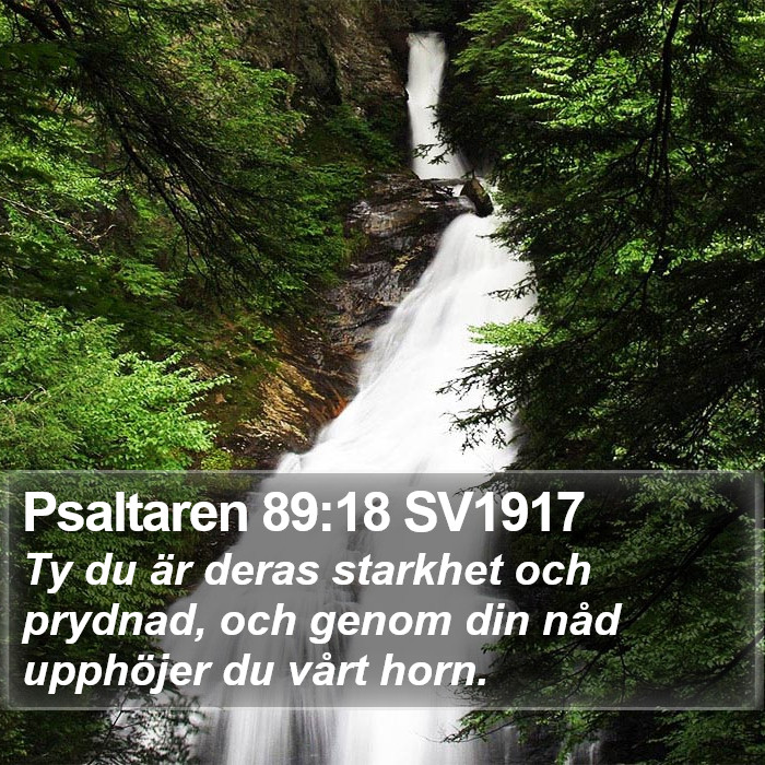 Psaltaren 89:18 SV1917 Bible Study