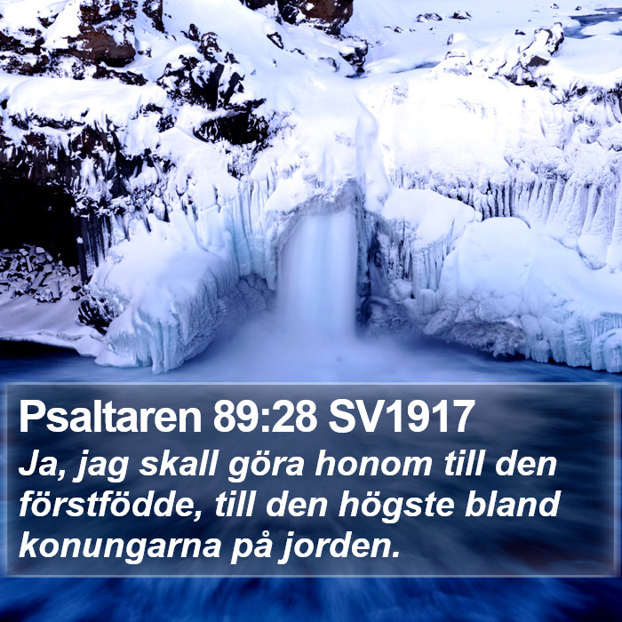 Psaltaren 89:28 SV1917 Bible Study