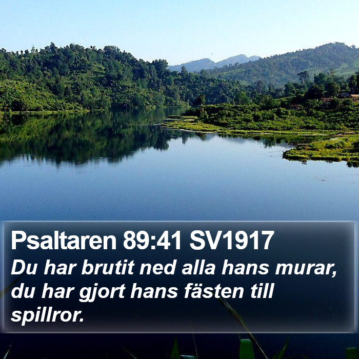 Psaltaren 89:41 SV1917 Bible Study