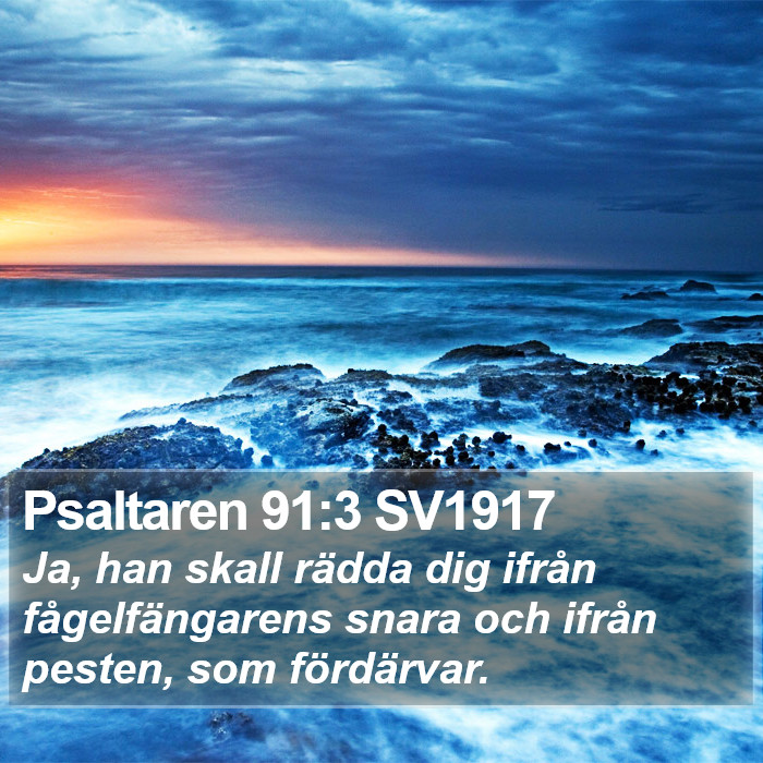 Psaltaren 91:3 SV1917 Bible Study