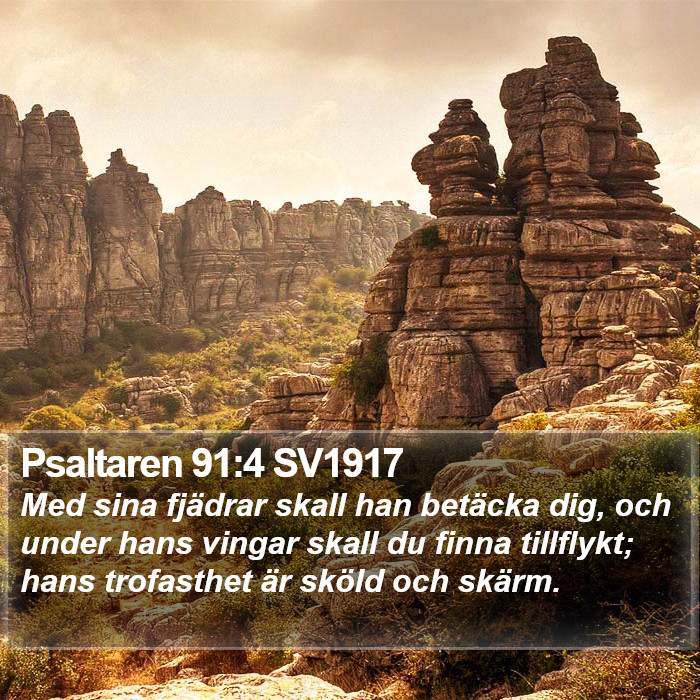 Psaltaren 91:4 SV1917 Bible Study