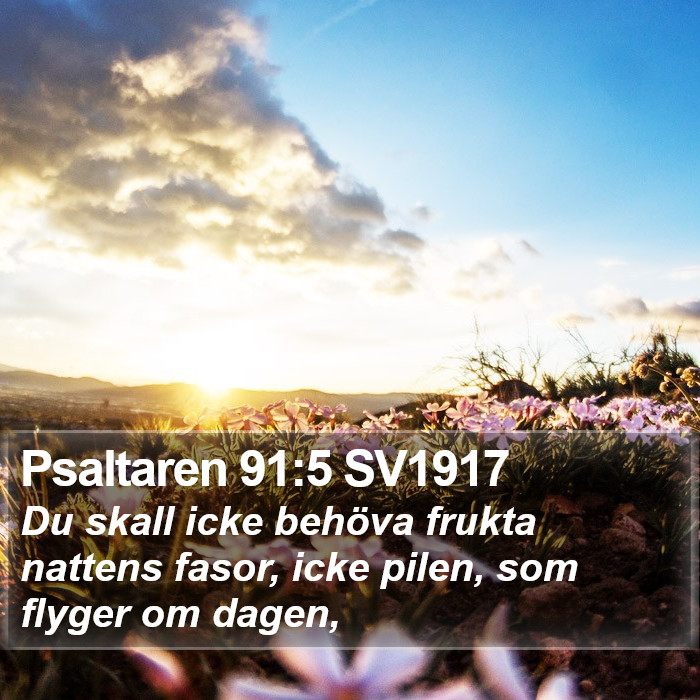 Psaltaren 91:5 SV1917 Bible Study