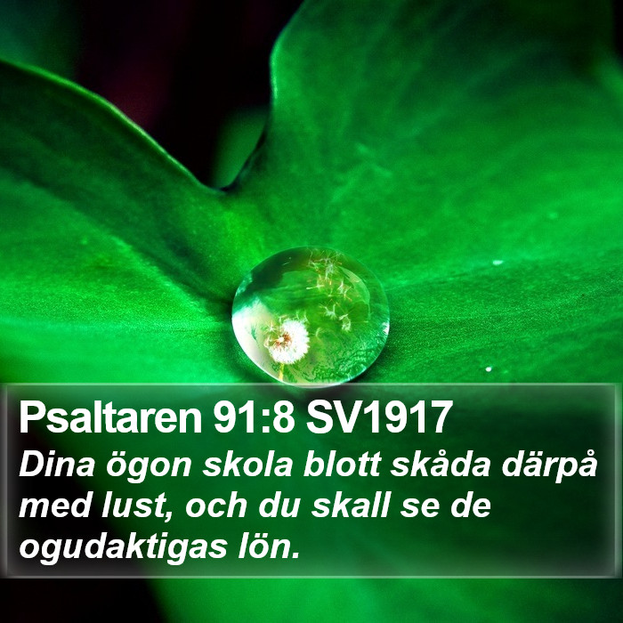 Psaltaren 91:8 SV1917 Bible Study