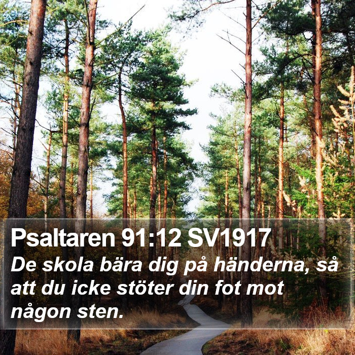 Psaltaren 91:12 SV1917 Bible Study