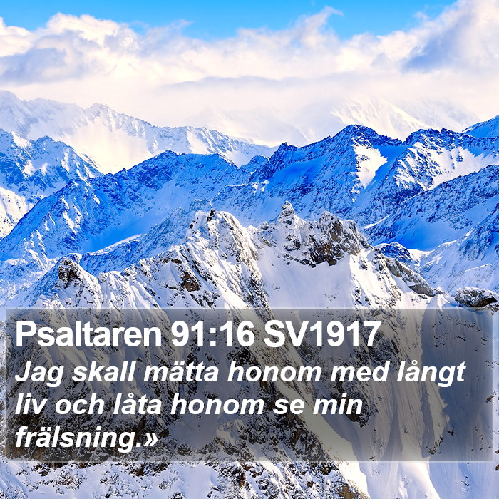 Psaltaren 91:16 SV1917 Bible Study