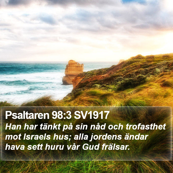 Psaltaren 98:3 SV1917 Bible Study