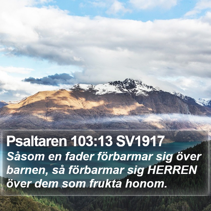 Psaltaren 103:13 SV1917 Bible Study