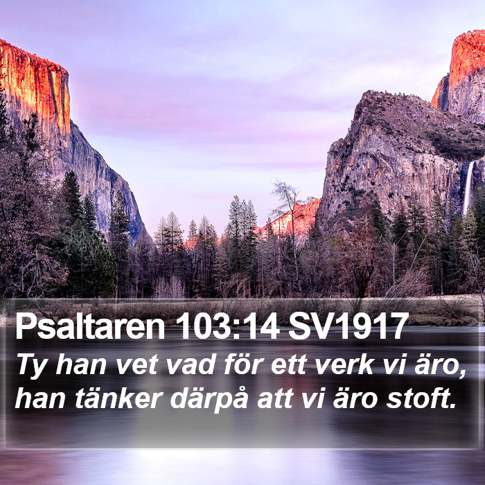 Psaltaren 103:14 SV1917 Bible Study