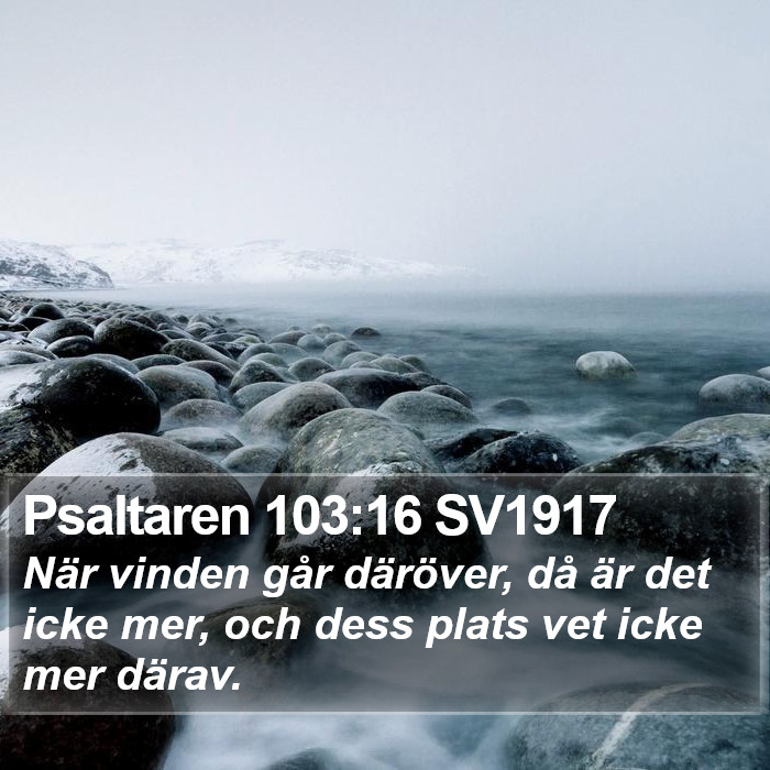 Psaltaren 103:16 SV1917 Bible Study