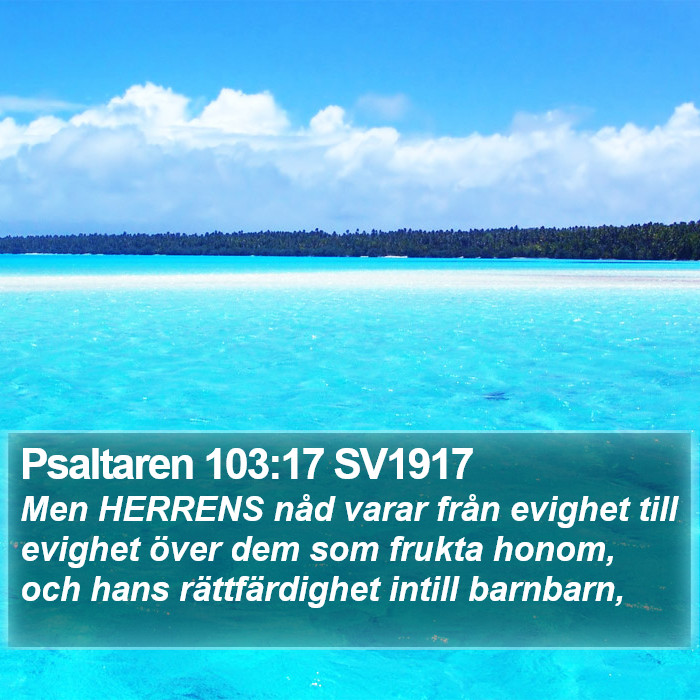 Psaltaren 103:17 SV1917 Bible Study
