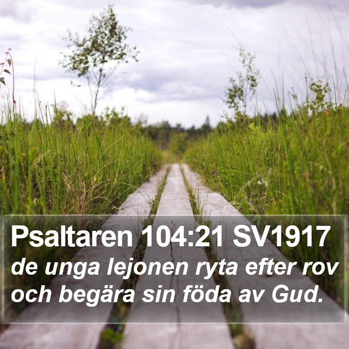 Psaltaren 104:21 SV1917 Bible Study
