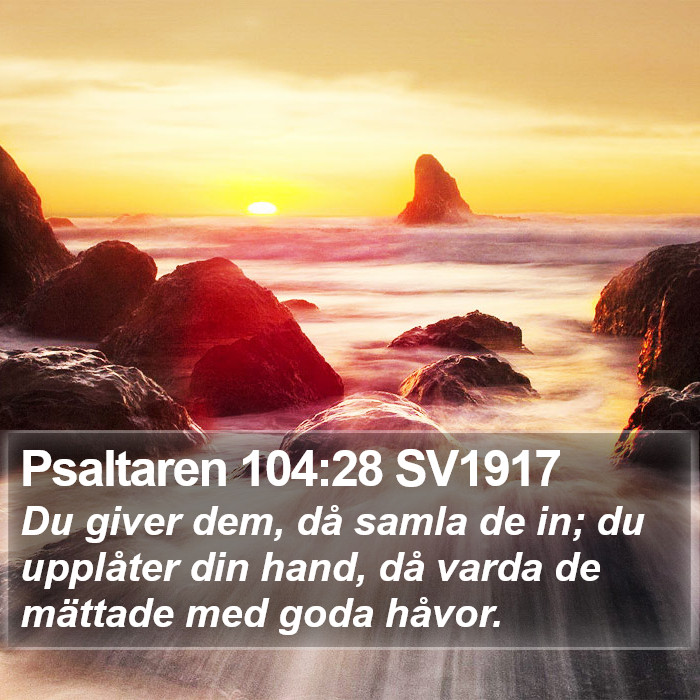 Psaltaren 104:28 SV1917 Bible Study