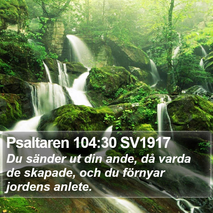 Psaltaren 104:30 SV1917 Bible Study