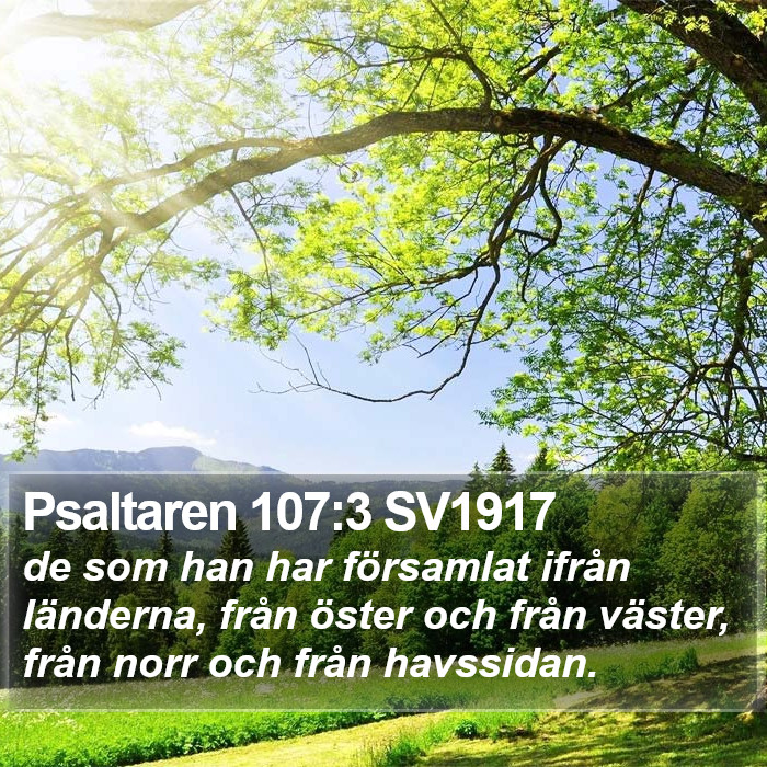 Psaltaren 107:3 SV1917 Bible Study