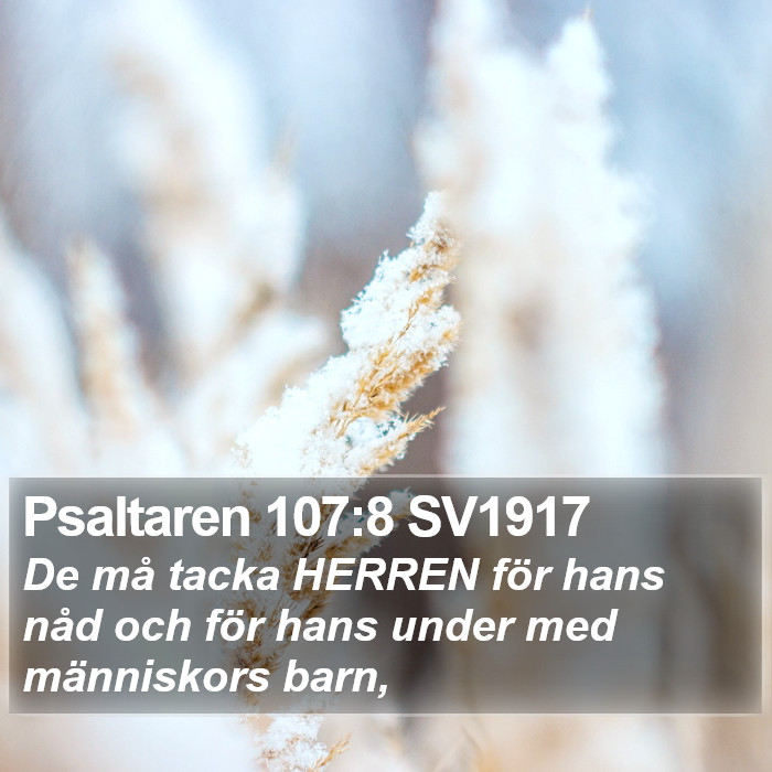 Psaltaren 107:8 SV1917 Bible Study