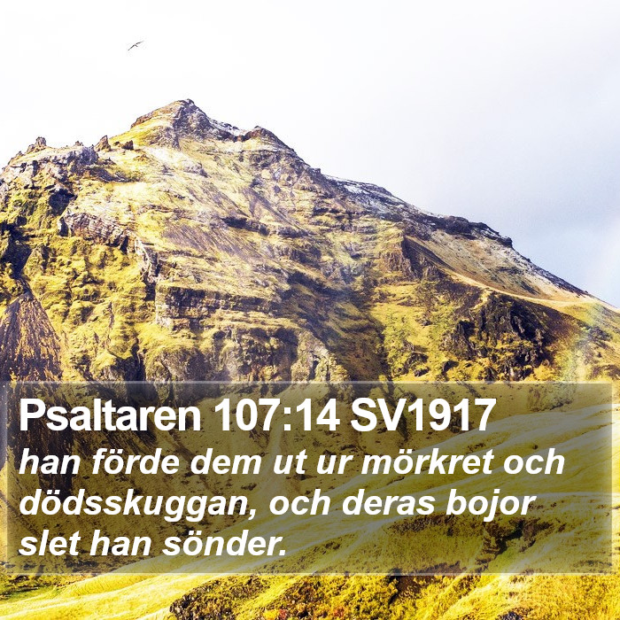 Psaltaren 107:14 SV1917 Bible Study