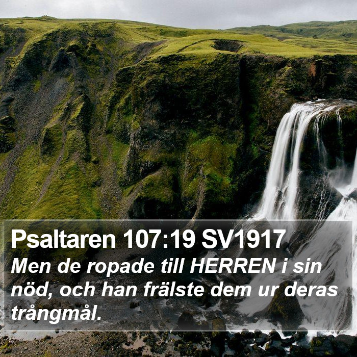 Psaltaren 107:19 SV1917 Bible Study