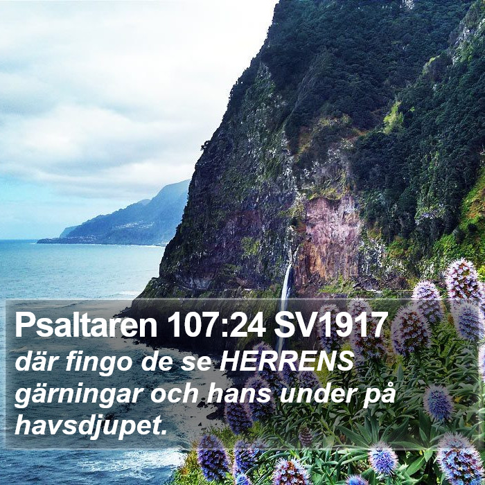 Psaltaren 107:24 SV1917 Bible Study