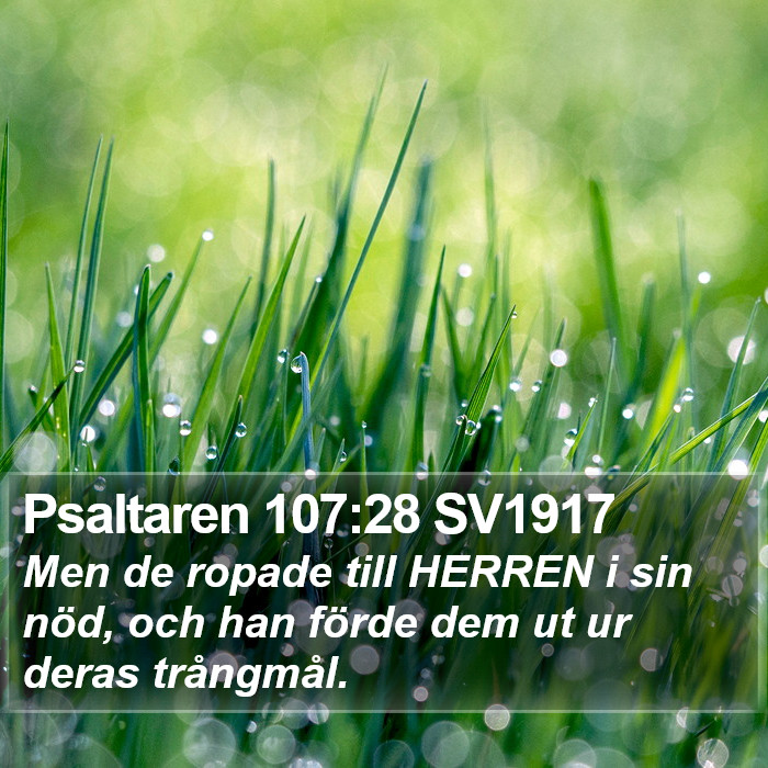 Psaltaren 107:28 SV1917 Bible Study