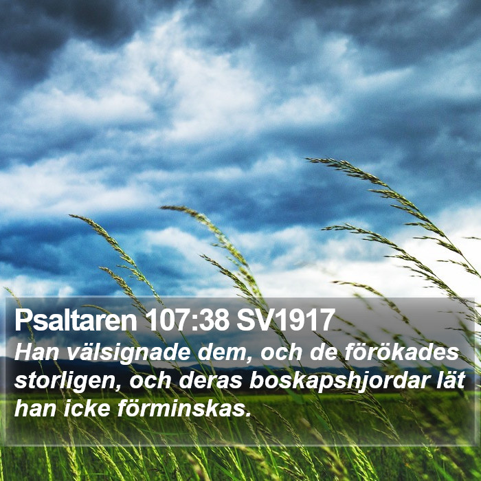 Psaltaren 107:38 SV1917 Bible Study