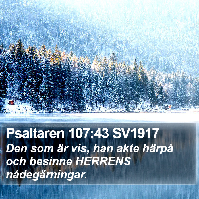 Psaltaren 107:43 SV1917 Bible Study