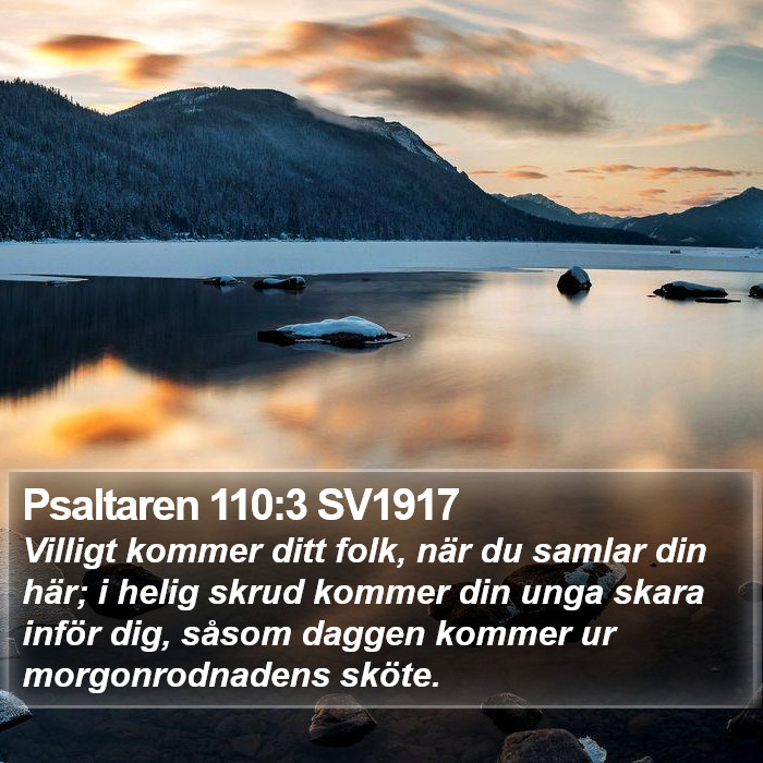 Psaltaren 110:3 SV1917 Bible Study