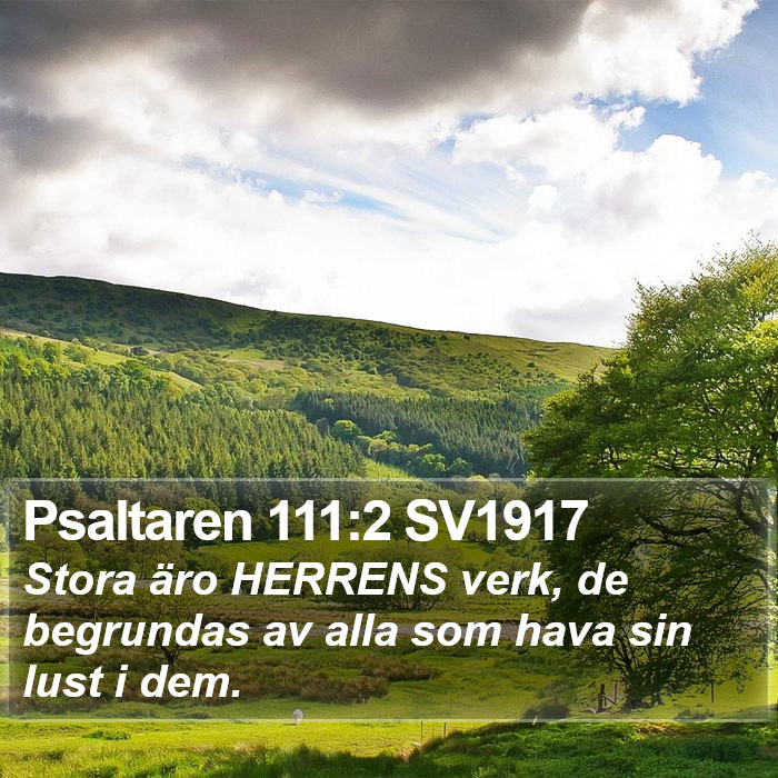 Psaltaren 111:2 SV1917 Bible Study
