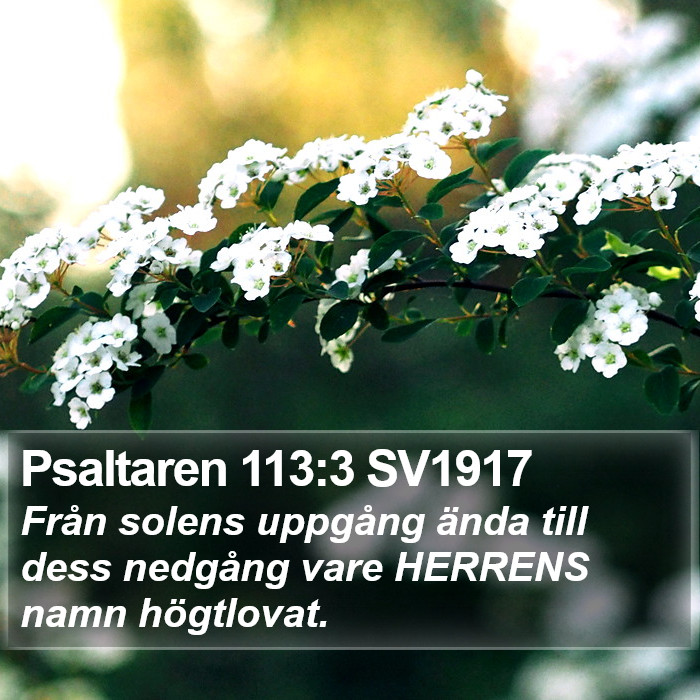 Psaltaren 113:3 SV1917 Bible Study