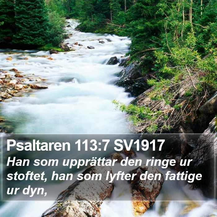 Psaltaren 113:7 SV1917 Bible Study