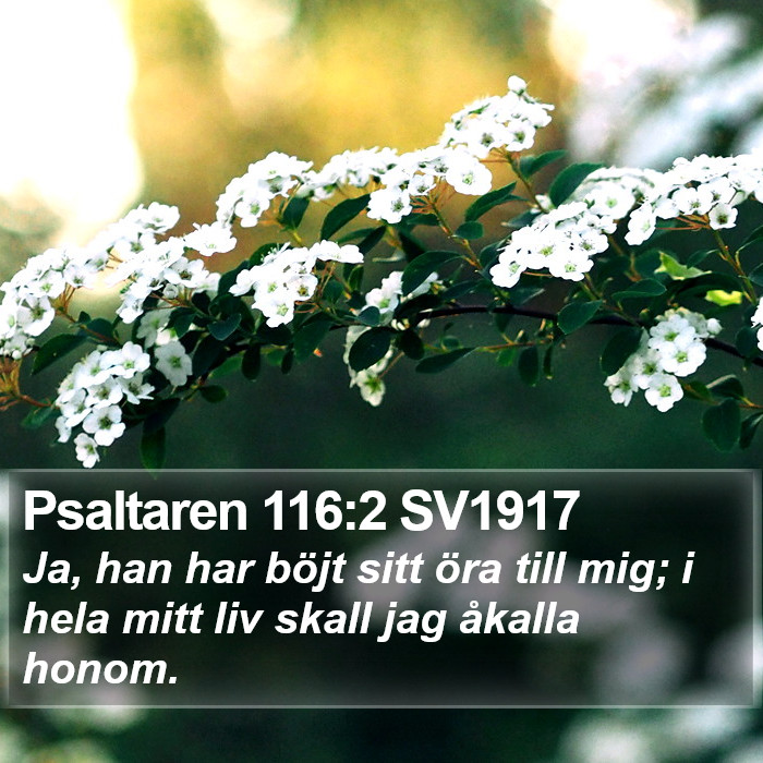 Psaltaren 116:2 SV1917 Bible Study