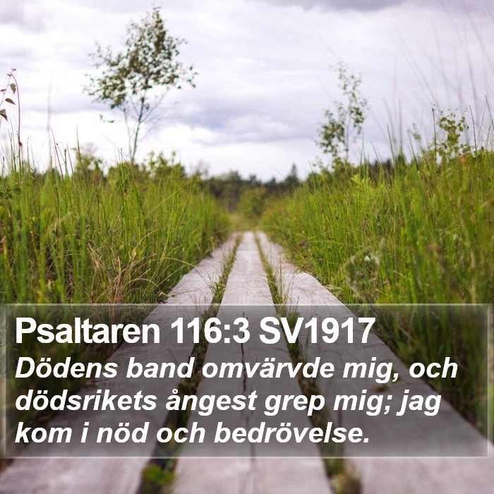 Psaltaren 116:3 SV1917 Bible Study