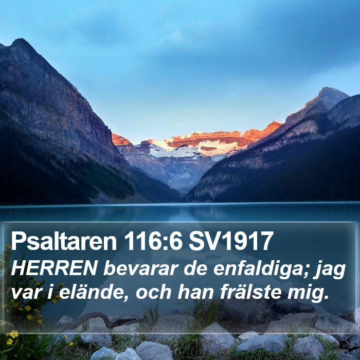 Psaltaren 116:6 SV1917 Bible Study